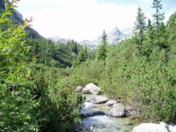 Wandern in der Hohen Tatra