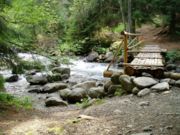 Natur in der Hohen Tatra