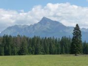Natur in der Hohen Tatra
