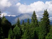 Natur in der Hohen Tatra