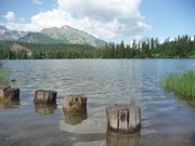 Natur in der Hohen Tatra